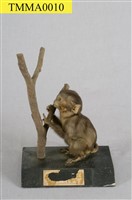 Formosan Rock-monkey Collection Image, Figure 6, Total 15 Figures